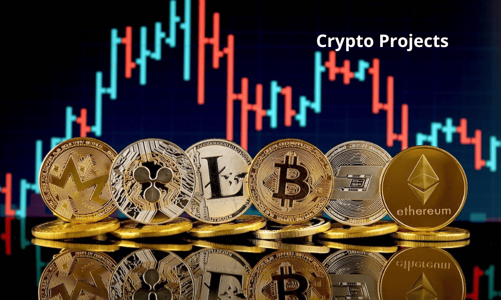 Bain Capital Ventures Sets Up A Half-Billion-Dollar Fund For Crypto Projects!